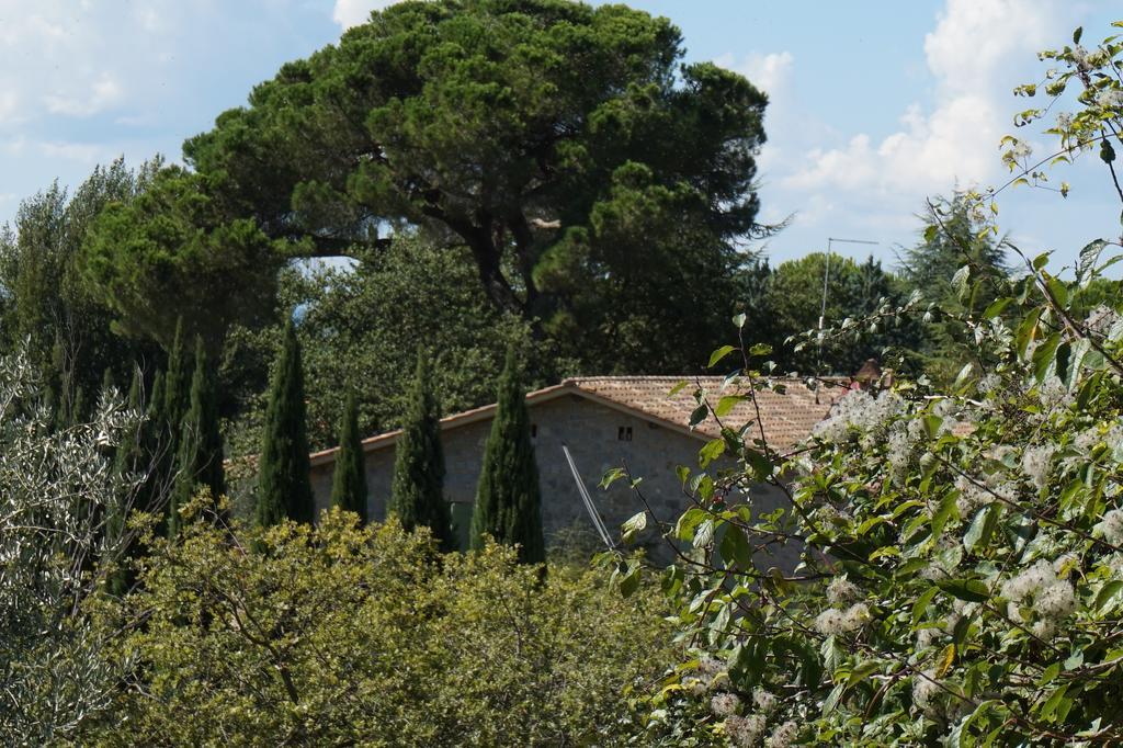Vagliagli Casa Lucia In Chianti Bed & Breakfast エクステリア 写真