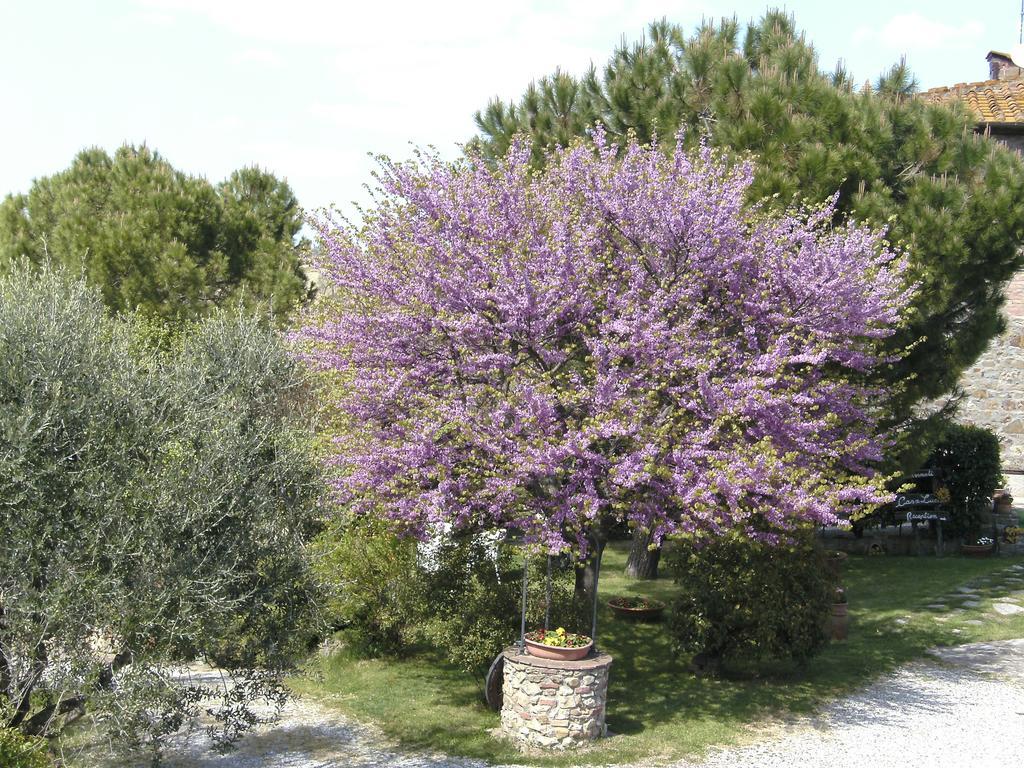 Vagliagli Casa Lucia In Chianti Bed & Breakfast エクステリア 写真